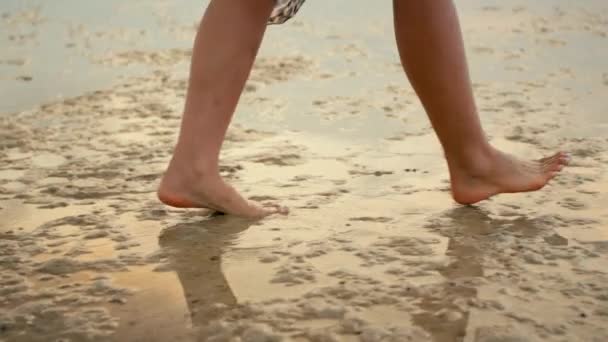 美しい長髪の少女はゆっくりとした動きで日没時にビーチを歩く 変成岩ショット — ストック動画
