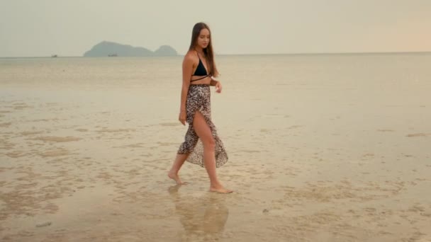 美しい長髪の少女はゆっくりとした動きで日没時にビーチを歩く 変成岩ショット — ストック動画