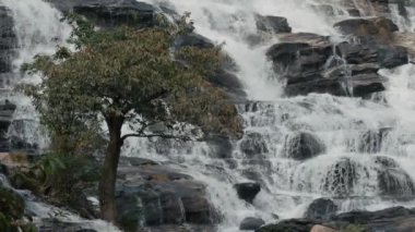 Kuzey Tayland 'daki en güzel şelale. yavaş çekim 