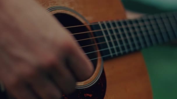 Гитарист Играет Поет Озера Высококачественные Ручные Съемки — стоковое видео