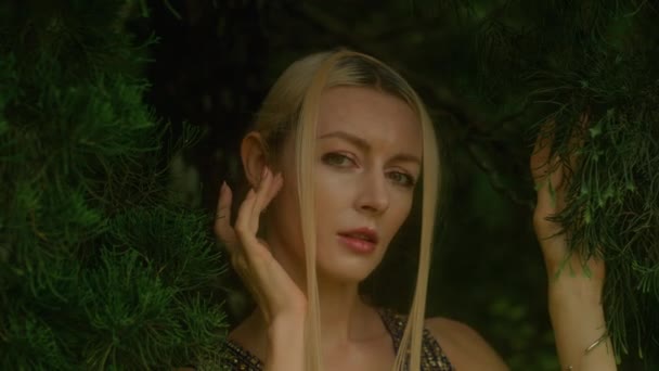 매력적인 여자는 Cypress 나무에 풍경에 사이프러스 카메라를 우아한 숲에서 모델입니다 — 비디오