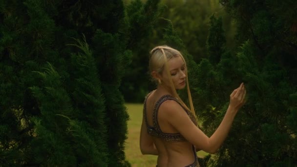 매력적인 여자는 Cypress 나무에 풍경에 사이프러스 카메라를 우아한 숲에서 모델입니다 — 비디오