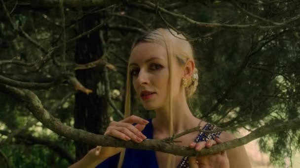 Mulher Glamorosa Posa Contra Uma Paisagem Florestal Por Ciprestes Menina — Vídeo de Stock