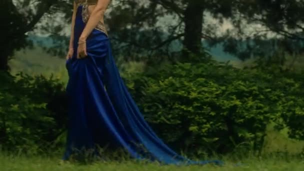 Femme glamour en robe bleue luxueuse marche le long d'une ruelle avec des cyprès. Elégante fille posant près des cyprès. Modèle dans la forêt. Blackmagic 6k séquences