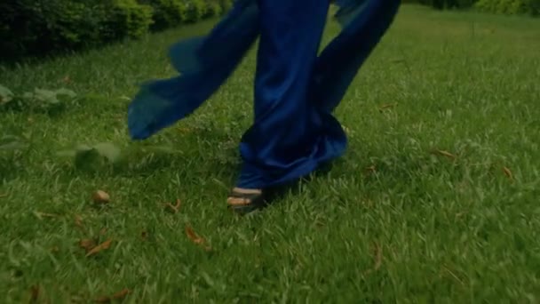Femme Glamour Robe Bleue Luxueuse Marche Long Une Ruelle Avec — Video