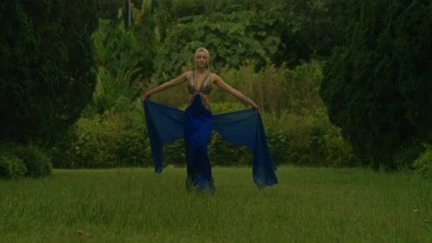 Mulher Glamourosa Luxuoso Vestido Azul Caminha Longo Beco Com Ciprestes — Vídeo de Stock