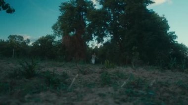 Kan lekeli elbiseli korkmuş bir kız ormanda onu kovalayan kişiden kaçıyor. Kara büyü 6k görüntüsü