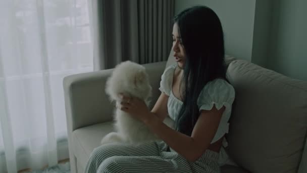 Mujer Tailandesa Joven Acariciando Lindo Perro Spitz Blanco Sentado Sofá — Vídeos de Stock