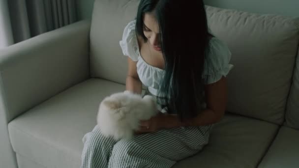 Junge Thailändische Frau Streichelt Niedlichen Weißen Spitzhund Sitzt Auf Ihrer — Stockvideo