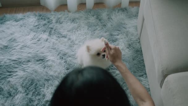 Czarne Włosy Kobieta Robi Zdjęcie Swoim Smartfonie Cute Biały Pies — Wideo stockowe