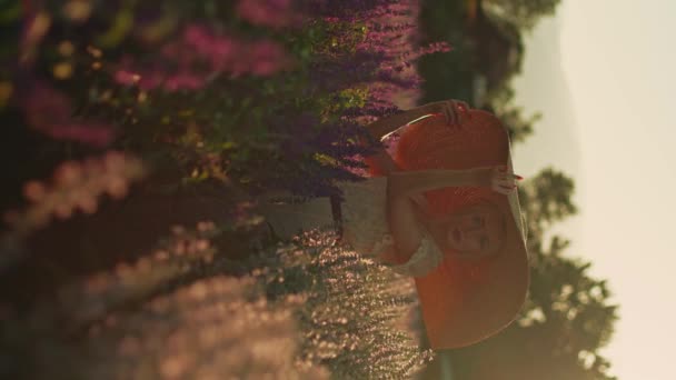 시간에 화려한 보라색 꽃밭에서 모자와 레이스 드레스에 자연의 — 비디오