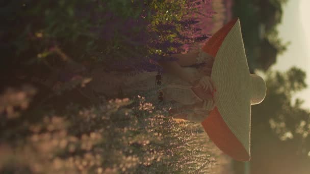 시간에 화려한 보라색 꽃밭에서 모자에 여자의 초상화 자연의 개념입니다 야생화 — 비디오