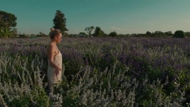 身穿白色夏装的年轻女子穿着浓密的高草走在草地上 在阳光灿烂的日子里 她的手慢慢地触摸着花朵的顶部 高质量的4K镜头 — 图库视频影像