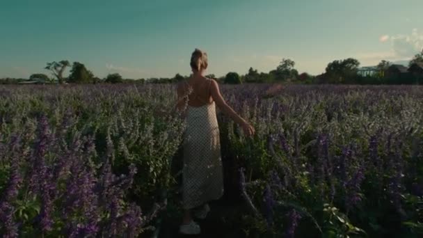 드레스를 여성은 두꺼운 잔디의 초원을 그녀의 슬로우 모션에서 화창한 꼭대기를 — 비디오