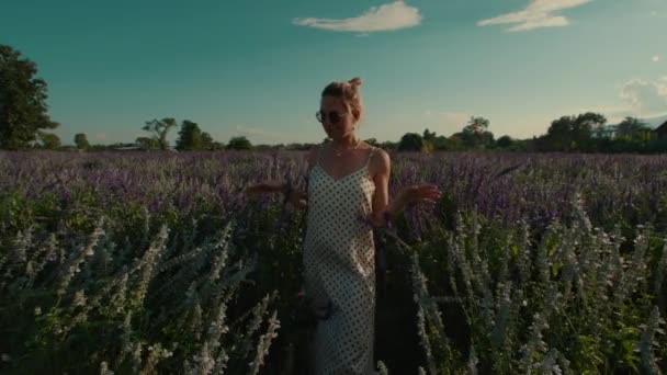 白い夏のドレスとメガネの女性は 厚い高い草の中の牧草地を通ってカメラに向かって歩き 彼女の手はゆっくりとした動きで晴れた日の花の上に触れます 高品質で — ストック動画