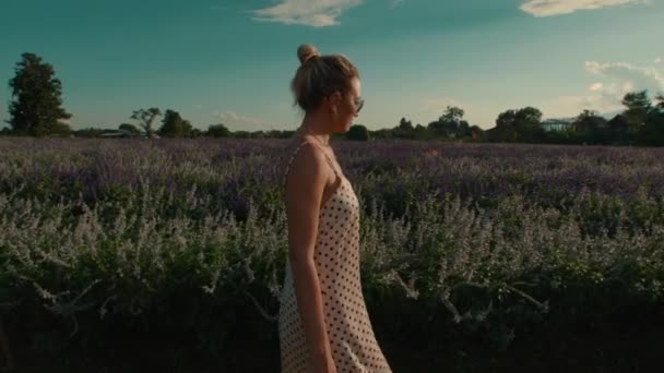드레스와 선글라스를 여자는 슬로우 모션에서 화창한 보라색 꽃밭을 고품질 — 비디오