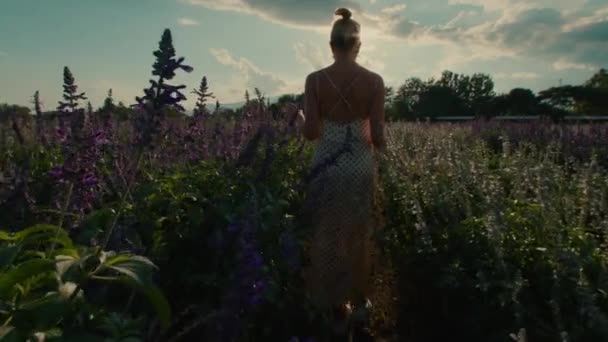 一个穿着白色长裙的女人穿着浓密的高草走回草地 在阳光灿烂的日子里 她的手慢慢地触摸着花朵的顶部 高质量的4K镜头 — 图库视频影像