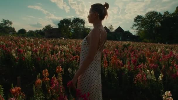 白い夏のドレスを着た若い女性は 晴れた日の晴れた日にカラフルなピンクと赤い花で牧草地を歩いています 高品質の4K映像 — ストック動画