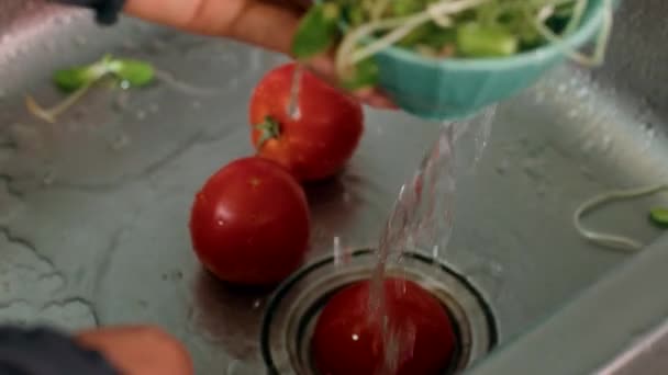 Two Ripe Tomatoes Popular Fruit Used Many Recipes Cuisines Being — Stock Video