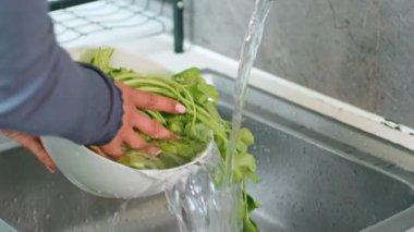Bireyler mutfak lavabosunda suyla dolu bir kasede bitki bazlı malzemeleri duruluyor. Büyük ihtimalle sebze bazlı bir tarif hazırlıyorlar.