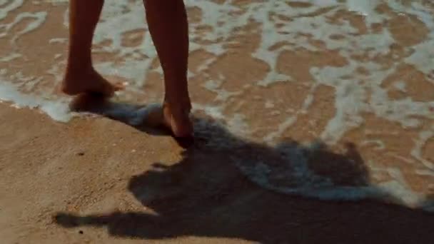人が浜辺に立っていて 砂浜の床に影が広がっている 風景は穏やかで 人間の足の下に木製の床が地上の土と混ざっている — ストック動画