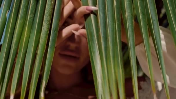 Bir Kişi Yakın Çekim Bambu Yaprağının Arkasına Saklanıyor Orman Yapraklarının — Stok video