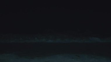 Yüksek çözünürlüklü görüntüler karanlık okyanus dalgalarının gece çarpışını, gizemli ve sakin deniz ortamını görüntüler.