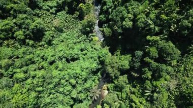 Yeşil Orman Ağaçları ve Asya Toprakları 'ndaki Küçük Dağ Nehri' nde hava aracı görüntüsü. Endonezya 'nın gür ormanlarına ve orman doğasına güzel bir yolculuk. Malezya Ortamı Açık Ekoloji ve Idyllic Ortamı