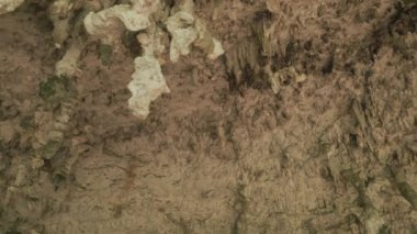 Arka planda Stalactites ve Stalagmitlerle Taş Mağara. Mineralleri ve karanlık mağarası olan doğa mağarası. Jeolojik ve Speleolojik Araştırma. Yeraltı Dünyası 'nın Keşfi 4k