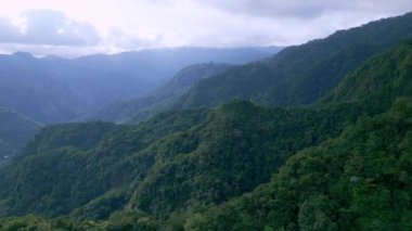 Asya 'nın Güzel Dağları' ndaki Yeşil Orman Ağaçları 'nda Hava Aracı görüntüsü. Lush Misty Woods ve Endonezya 'nın Orman Doğası' na Yolculuk. Asya Bulutlu Yağmur Ormanlarının Hava Ekolojisi ve Eski Ortamı
