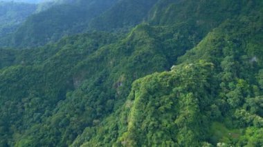 Asya 'nın Güzel Dağları' ndaki Yeşil Orman Ağaçları 'nda Hava Aracı görüntüsü. Lush Misty Woods ve Endonezya 'nın Orman Doğası' na Yolculuk. Asya Bulutlu Yağmur Ormanlarının Hava Ekolojisi ve Eski Ortamı