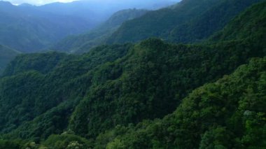 Asya 'nın Güzel Dağları' ndaki Yeşil Orman Ağaçları 'nda Hava Aracı görüntüsü. Lush Mist Woods ve Endonezya 'nın Orman Doğası' na Yolculuk. Hava Ekolojisi ve Malezya 'nın Eski Ortamı Sisli Orman