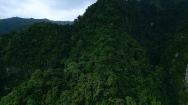 Asya 'nın Güzel Dağları' ndaki Yeşil Orman Ağaçları 'nda Hava Aracı görüntüsü. Lush Mist Woods ve Endonezya 'nın Orman Doğası' na Yolculuk. Hava Ekolojisi ve Malezya 'nın Eski Ortamı Sisli Orman