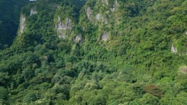 Asya 'nın Güzel Dağları' ndaki Yeşil Orman Ağaçları 'nda Hava Aracı görüntüsü. Lush Woods ve Endonezya 'nın Orman Doğası' na Yolculuk. İnanılmaz Ekoloji ve Malezya Yağmur Ormanları Idyllic Ortamı