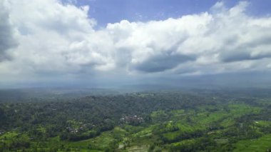 Dağlardaki Tropikal Orman Hava Görüntüsü sineması. Tropikal Yeşillik Islak Ağaçlarının Üzerinde Gün Doğumu. 