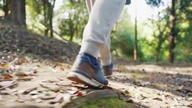 Forest Park Doğa ve Yürüme Yolunda Bir Kişi Sırt Çantası. Neşeli Adam kavramı Woodland Hill 'in yakınına taşınıyor. Yaya Yolunda Yolculuk ve Güneş Işığında Zemindeki Ağaçların Manzarası