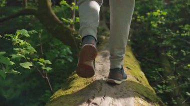 Yalnız İnsan Gezileri ve Orman Doğası 'nda Yürüyüş ya da Orman Parkı' nda Antrenman. Yetişkin Erkek Gezgin Sahnesi Bahçe Arazisinde Ağaç Gövdesini Keşfetti. Ayak Kapanışı 4k Üzerinde Erkek Egzersizleri Konsepti
