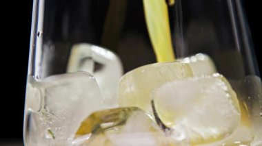 Meyve Suyu ya da Buzlu Bardakta Meyve Suyu. Makro 'da Modern Stüdyo Çekimi' nde izole edilmiş sağlıklı taze yiyecek olarak meyve suyu içmek. Renkli sebzeler yemek ve organik portakalın tadını çıkarmak.