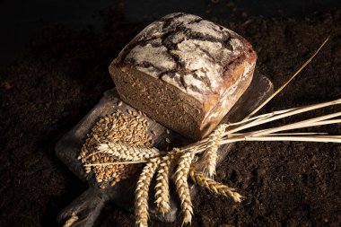 fresh baked bread and wheat on soil