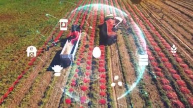 Tarım teknolojisi konsepti. Tarım teknisyeni. Çevre teknolojisi. Sürdürülebilir Kalkınma Hedefleri, Yüksek kalite 4k görüntü