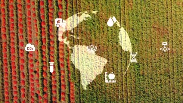 Koncept Zemědělské Technologie Agritech Technologie Životního Prostředí Cíle Udržitelného Rozvoje — Stock video