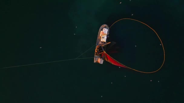 Αεροφωτογραφία Του Αλιευτικού Πλοίου Και Διχτυού Σχήμα Κύκλου Συλλέγοντας Ψάρια — Αρχείο Βίντεο