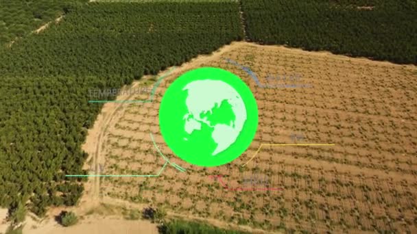 Intelligens Digitális Mezőgazdasági Technológia Futurisztikus Szenzoradatgyűjtéssel Mesterséges Intelligencia Segítségével Növénytermesztés Jogdíjmentes Stock Felvétel