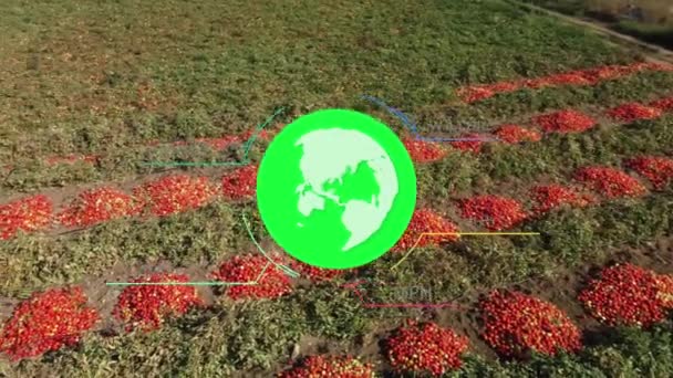 Agriculture Smart Farming Technology Industry Concept Harvesting Planting Technology Smart — Stock Video