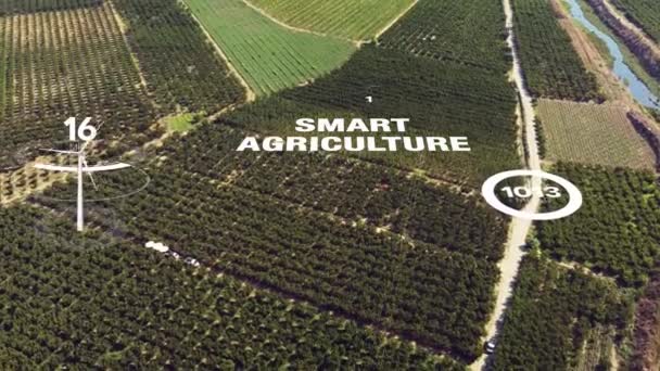 Rolnictwo Inteligentne Technologie Rolnicze Przemysł Koncepcja Zbiorów Sadzenia Wykorzystaniem Technologii — Wideo stockowe