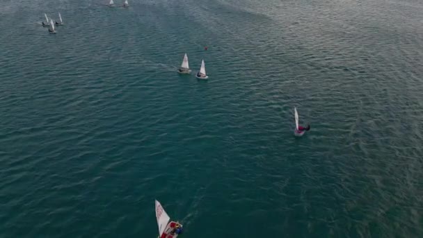 Training Zeiljachten Klasse Optimist Drijven Zee Yachting Zeiltraining Zomer Sport — Stockvideo