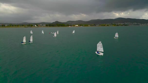 Utbildning Segelbåtar Klass Optimist Flyter Havet Yachting Och Segling Utbildning — Stockvideo