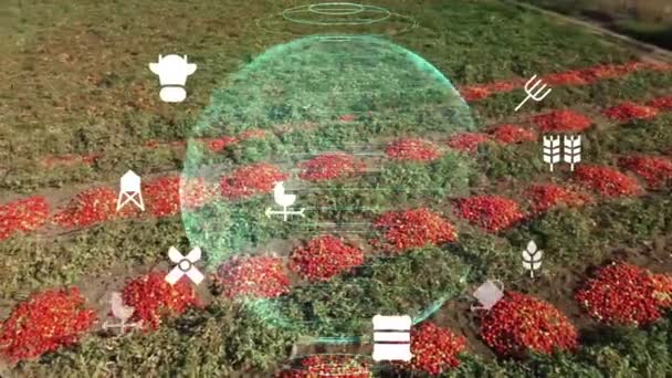 Landwirtschaftstechnikkonzept Agritech Umwelttechnologie Ziele Nachhaltiger Entwicklung Hochwertiges Filmmaterial — Stockvideo