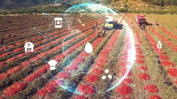 Landwirtschaftstechnikkonzept Agritech Umwelttechnologie Ziele Nachhaltiger Entwicklung Hochwertiges Filmmaterial — Stockvideo
