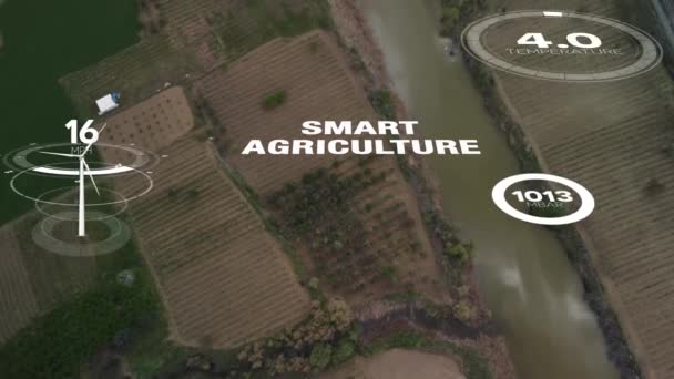 Rolnictwo Inteligentne Technologie Rolnicze Przemysł Koncepcja Zbiorów Sadzenia Wykorzystaniem Technologii — Wideo stockowe